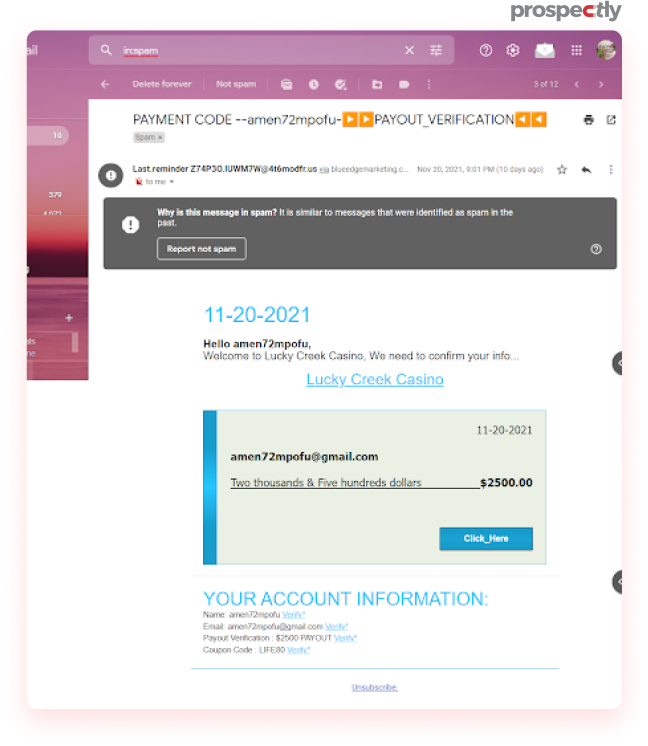 example of a spam email