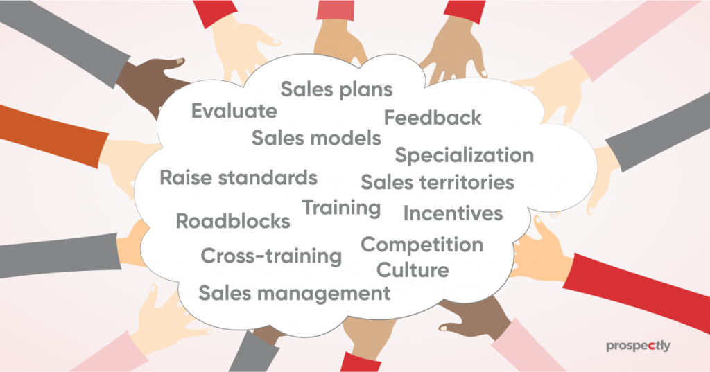sales team management strategies